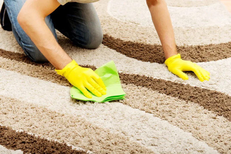 Commercial Carpet Cleaning vs DIY