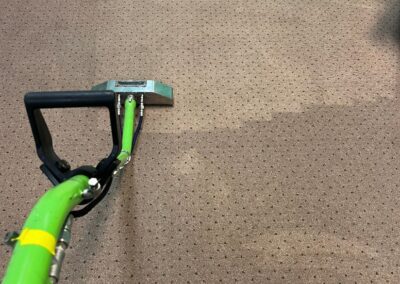 Carpet Cleaning in Chicago