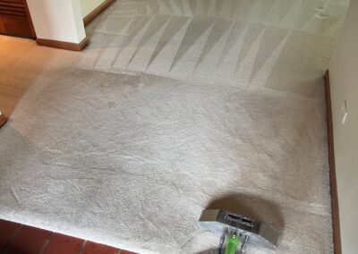 living room Carpet Cleaning in Wheaton