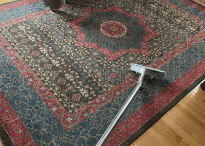 Rug cleaning in Wheaton, Illinois