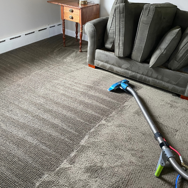 Carpet and upholstery cleaning in Arlington Heights, Illinois