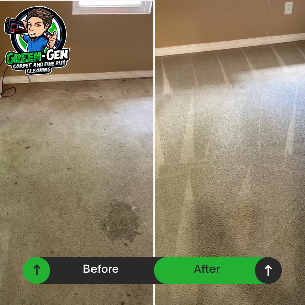 pet stains removed from carpet in Schaumburg, Illinois