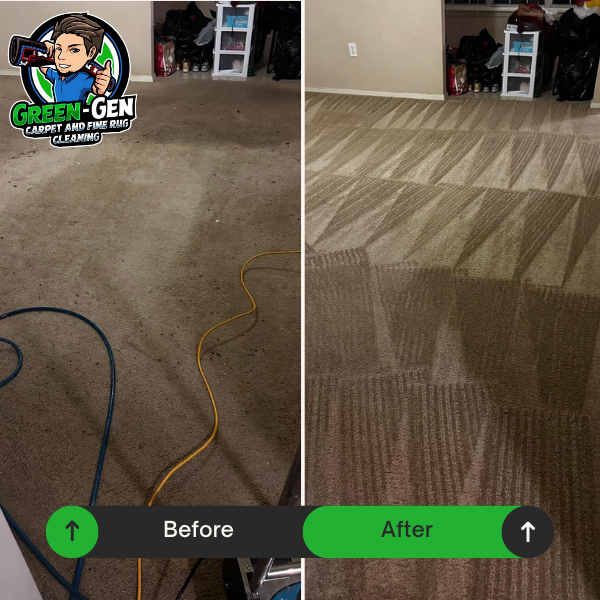 carpet cleaning before and after in Elgin, Illinois