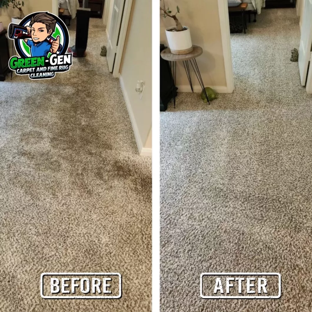 Carpet Cleaning before and after in Wheaton, Illinois