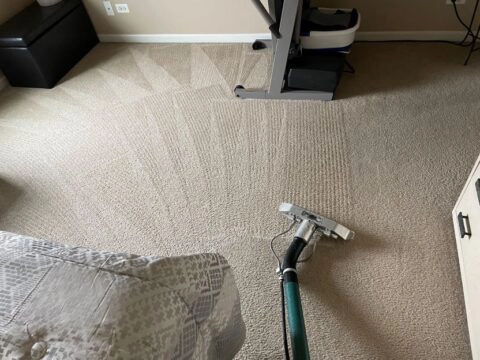 Carpet cleaning service in Elgin, Illinois