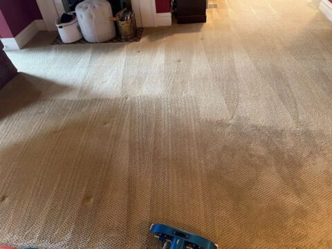 Carpet cleaning in Elmhurst Illinois