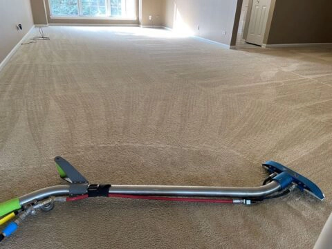 Carpet-Cleaning-in-Schaumburg, Illinois