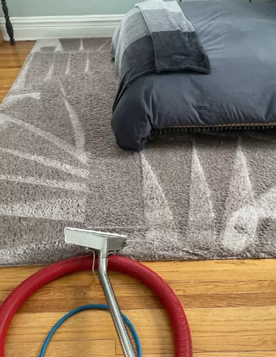 Area Rug being cleaned in South Elgin, Illinois