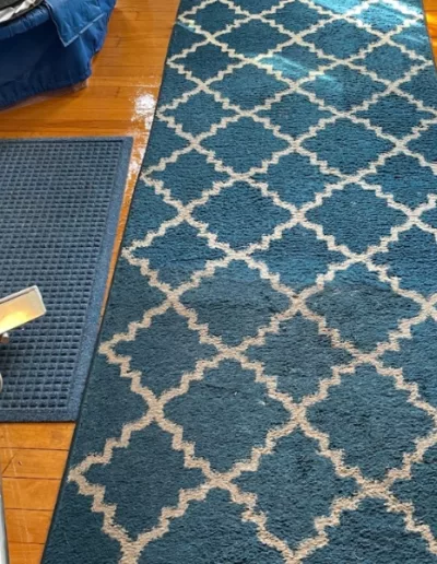 Area rug being cleaned in St. Charles, Illinois