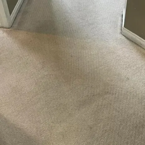 Carpet Cleaning After