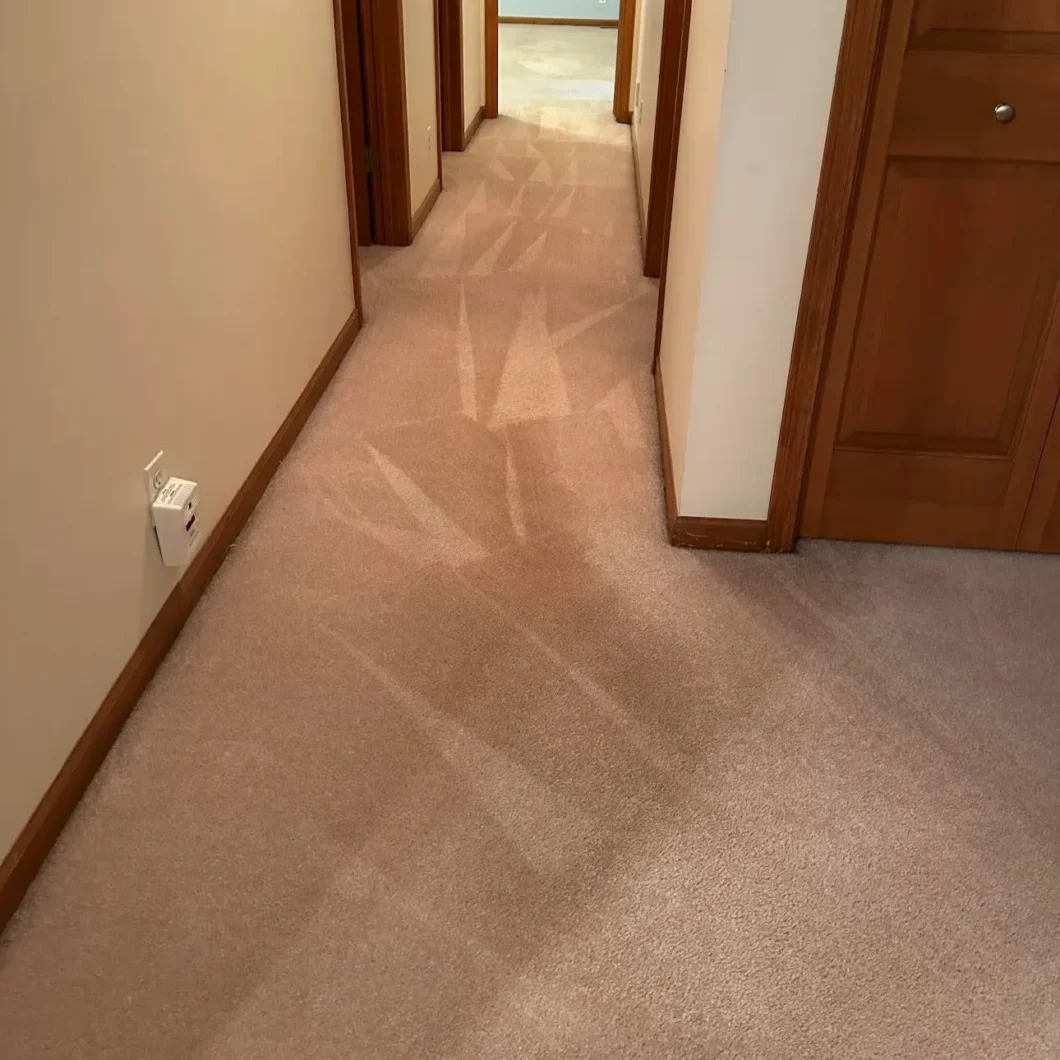 Carpet Cleaning After