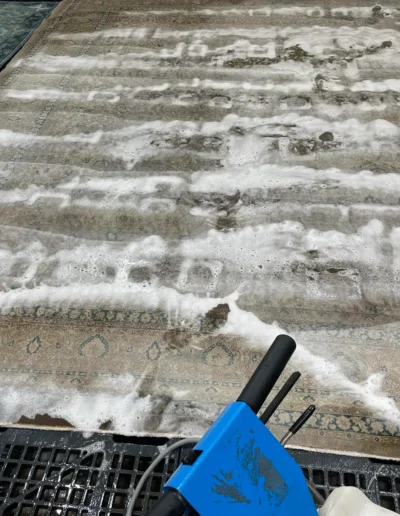 rug cleaning 9