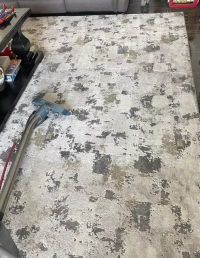 rug_cleaning (4)