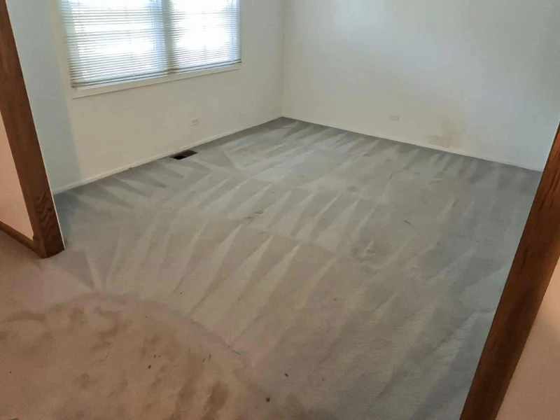 Spring Carpet Cleaning
