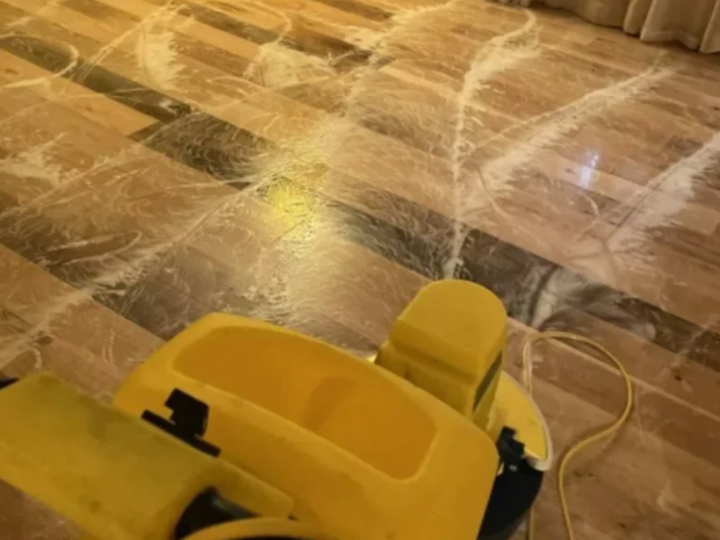 Can carpet cleaners clean hard floors