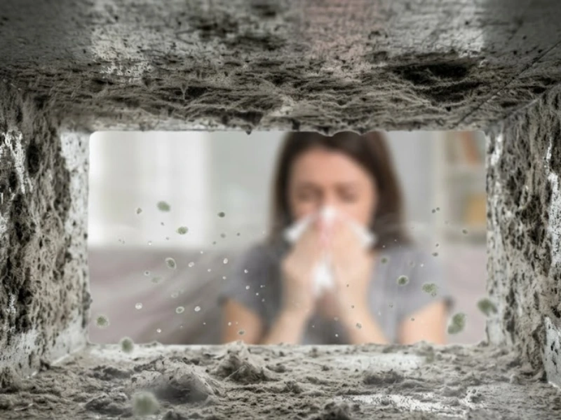 air ducts making you sick