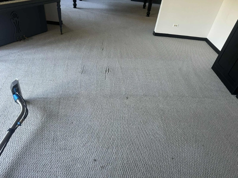 carpet steam cleaning vs dry cleaning