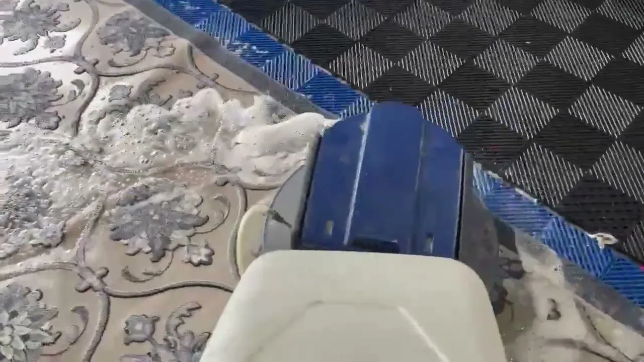 The Rug Cleaning Transformation You Need to See